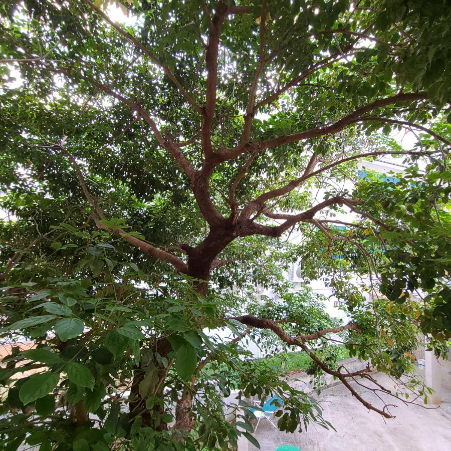 白砂灣藍海之丘blue Ocean Hill Hengchun Old Town Exterior foto